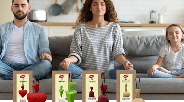 The Spiritual Essence of Camphor Air Fresheners in Navratri Rituals