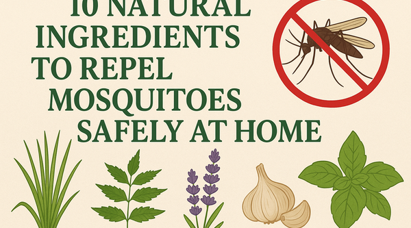 10 Natural Ingredients That Repel Mosquitoes Safely at Home