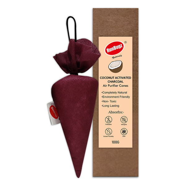Activated Charcoal Air Purifier Cone - 100gms