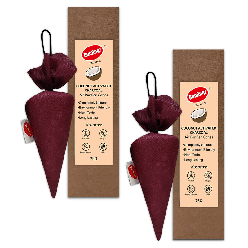 Activated Charcoal Air Purifier Cone - 75gms