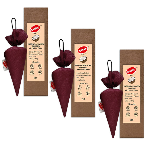 Activated Charcoal Air Purifier Cone - 75gms