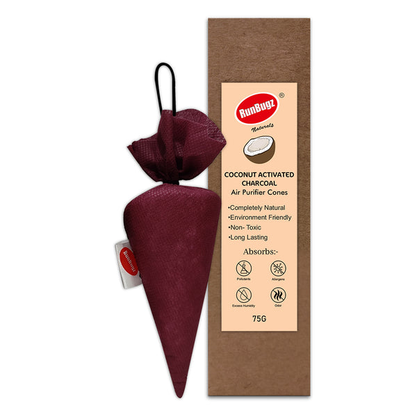 Activated Charcoal Air Purifier Cone - 75gms