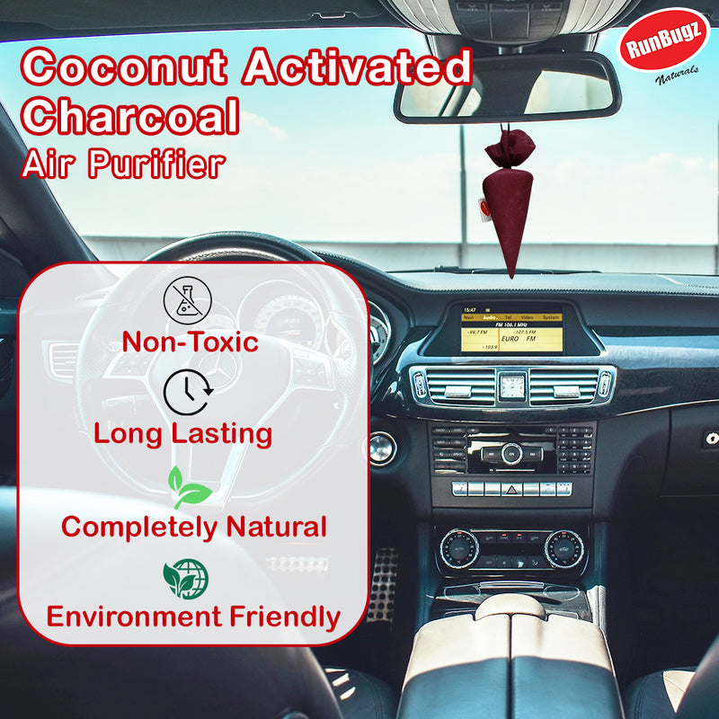 Activated Charcoal Air Purifier Cone - 100gms