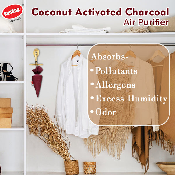 Activated Charcoal Air Purifier Cone - 100gms