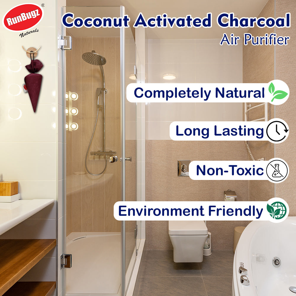 Activated Charcoal Air Purifier Cone - 75gms