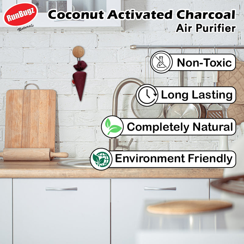 Activated Charcoal Air Purifier Cone - 100gms